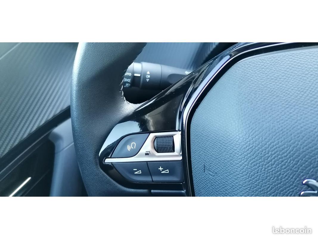 PEUGEOT 2008 1.5 BlueHDi 110 Style +CAMERA (image 14)