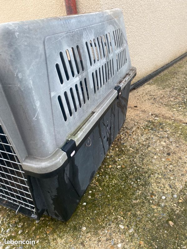 Caisse de transport chien (image 3)