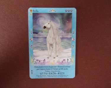 rare bella sara cards Pokemon Black & White Zekrom 47/114 Holo Rare Single Card  PokeOrder.com