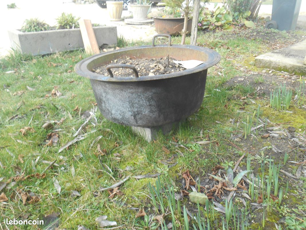 Poillone (image 3)