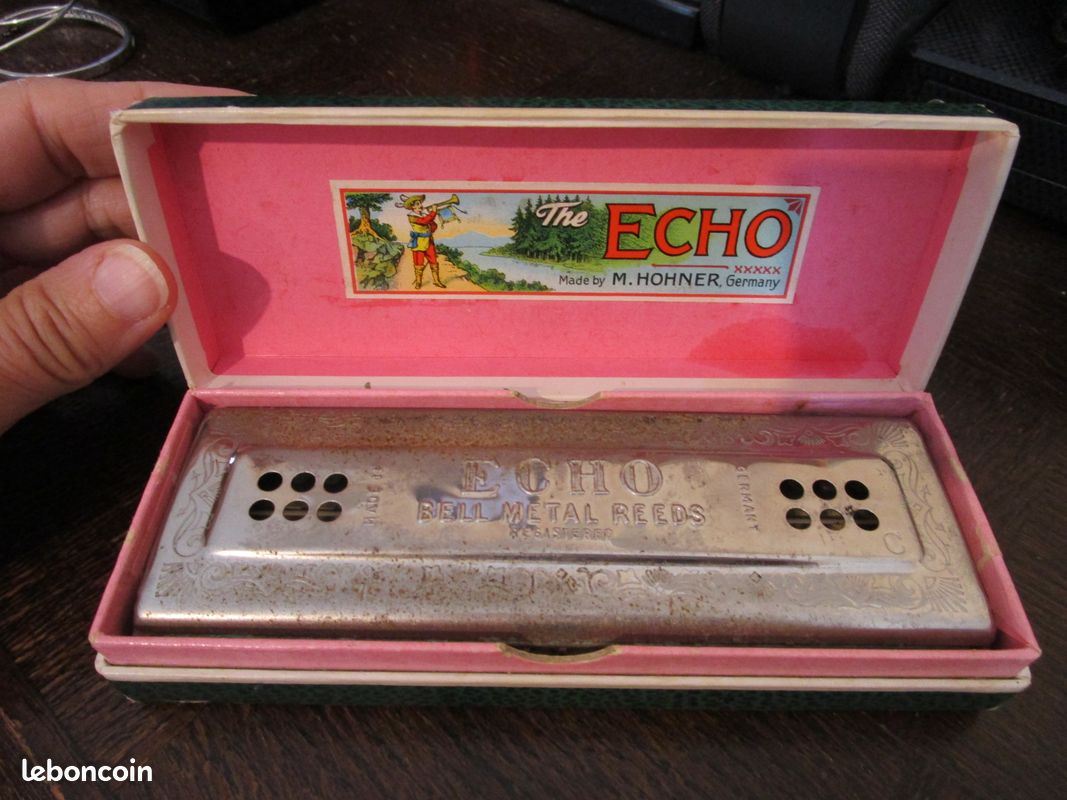 Harmonica HOHNER Echo Harp 96 - Tonalités C/G, Double Face Trémolo, Sommier En érable, 2x48 Trous, Parfait Pour Débutants Et Confirmés