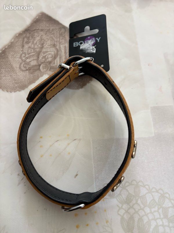 Collier couleur camel neuf chien (image 1)