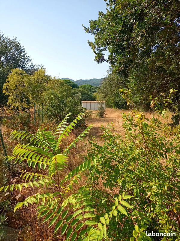 Terrain de loisirs · à Argelès-sur-Mer · 65 000 €