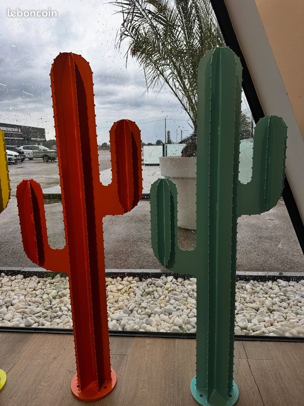 Cactus jardin décoration (image 3)