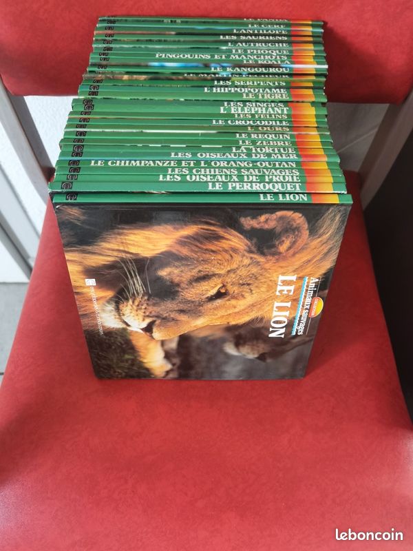 Lot livres animaux sauvages (image 1)