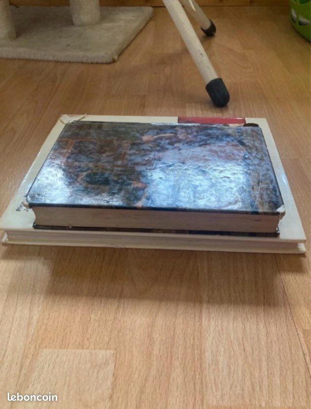 Lot de deux livres anciens (image 7)
