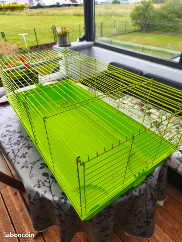 Cage a (image 2)