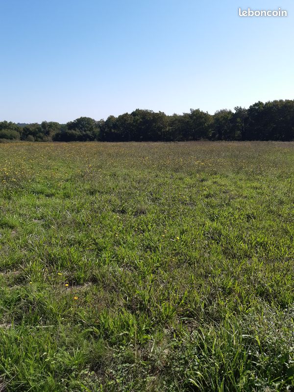 Terrain à bâtir Labastide d'Armagnac (40240) · à Labastide-d'Armagnac · 25 000 €