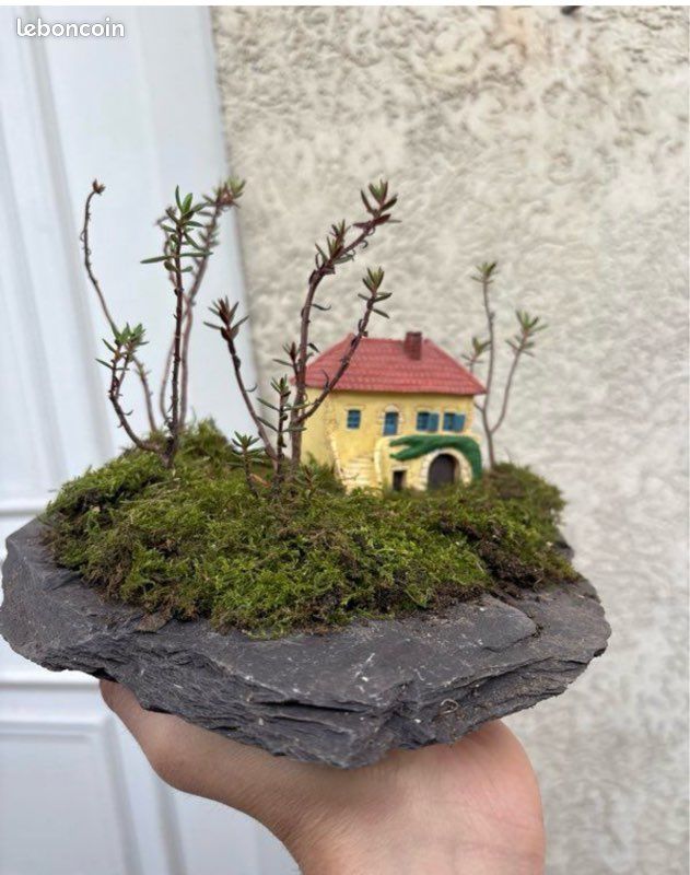 Paysage bonsai foret sur auge (image 1)