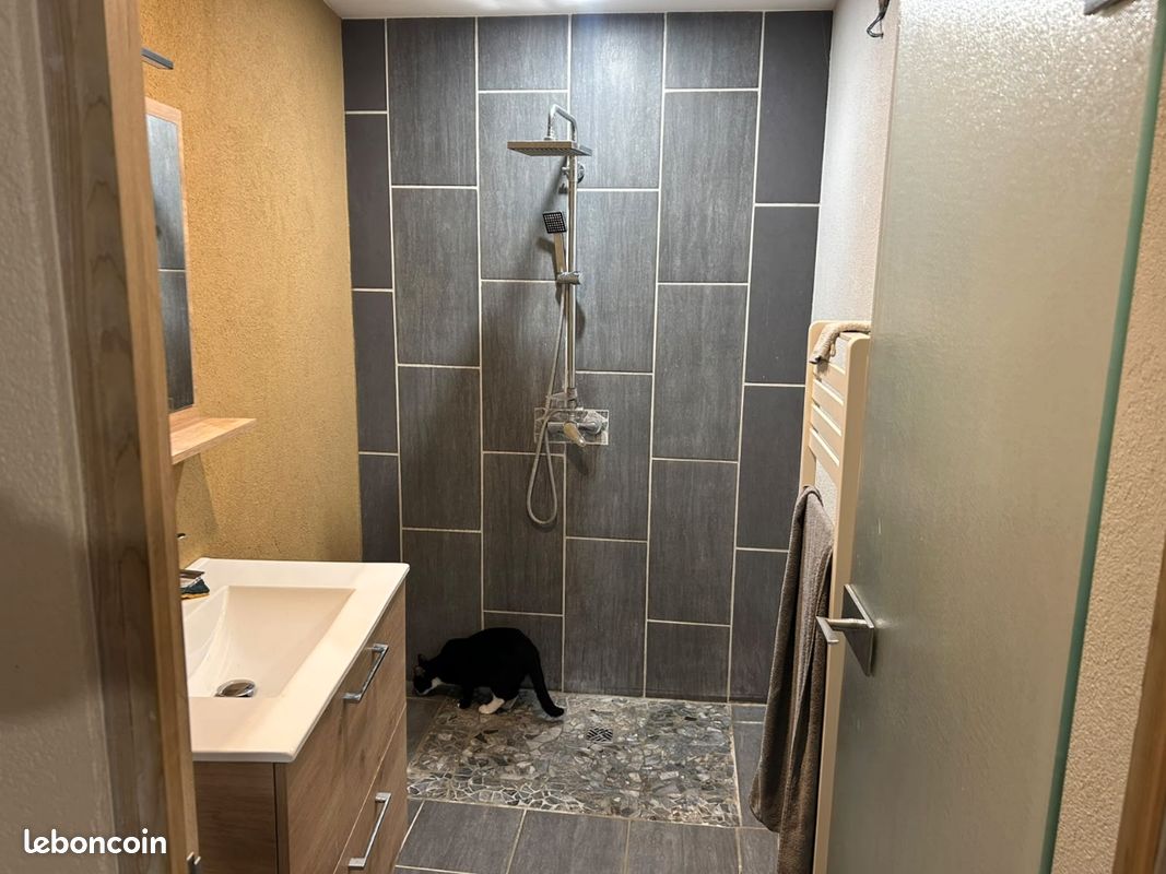 Appartement 2 pièces 60 m² · à Schiltigheim · 60 m² · 680 €/mois