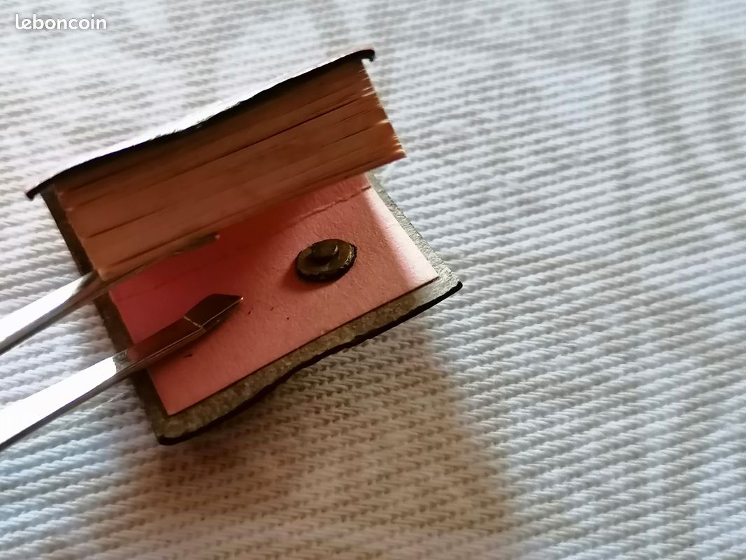 Pin's livre des droits de l'homme (image 7)