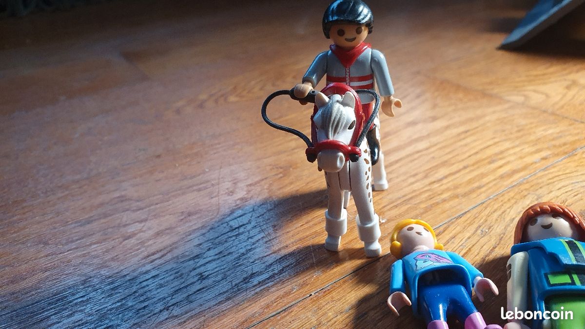 Playmobil 6 personnages et un cheval (image 2)