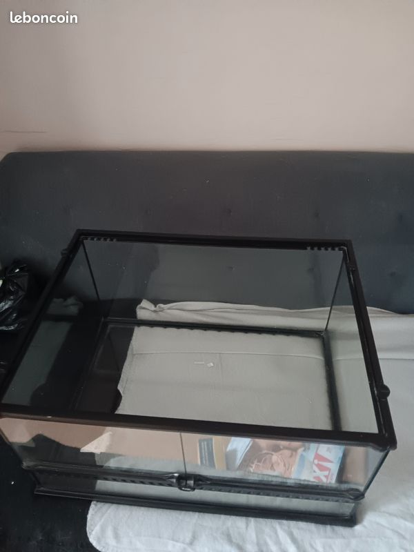 A vendre terrarium (image 3)