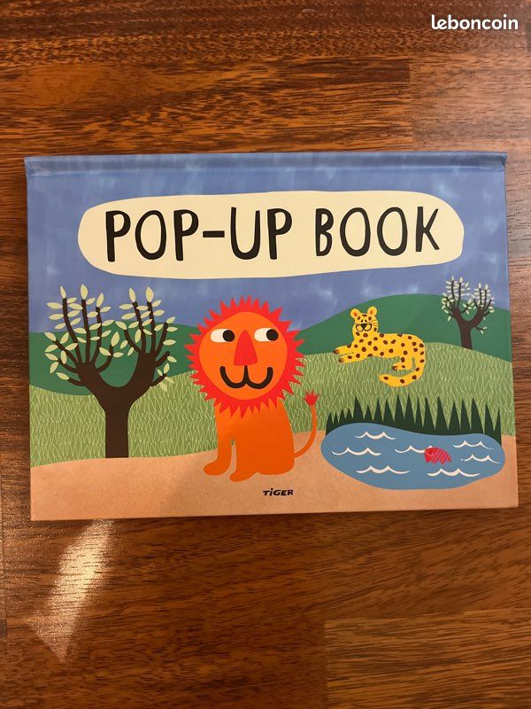 Pop up book (image 1)