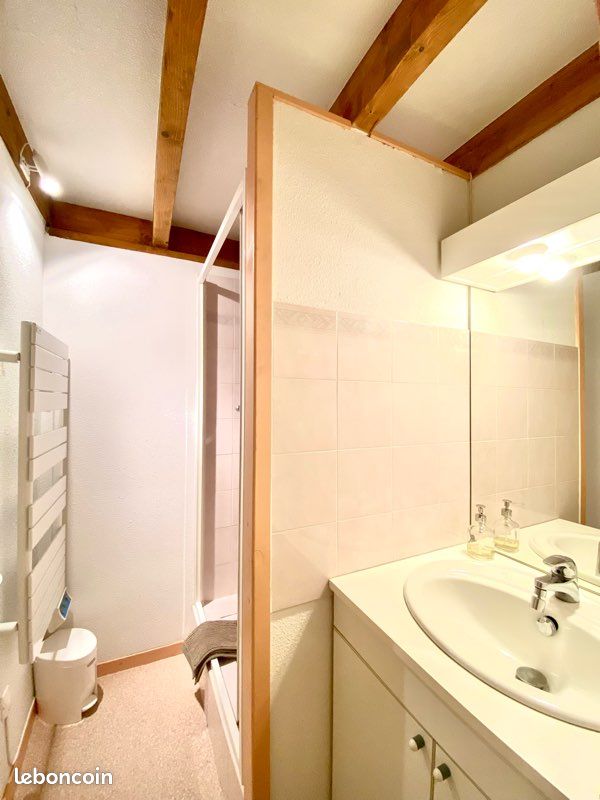 Duplex vue panoramique sur la vallée de Luz-Saint-Sauveur (image 15)