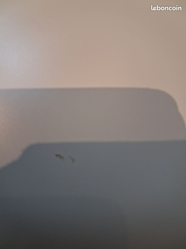 Mange debout (image 8)