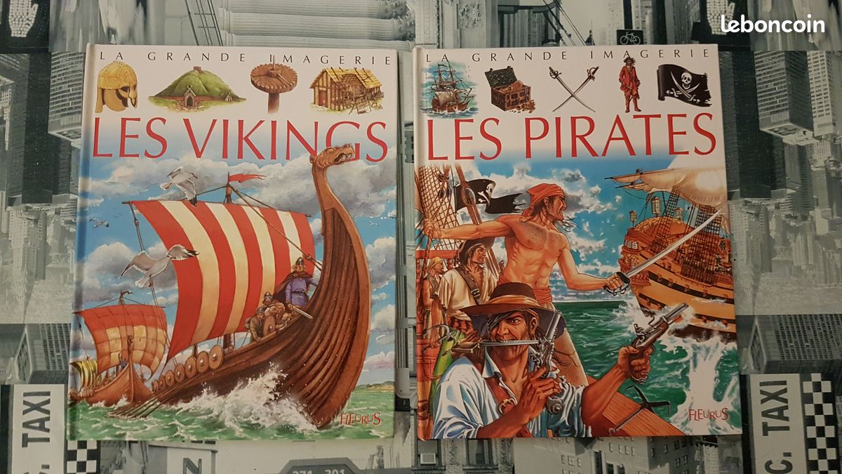 6 livres Grande Imagerie/Encyclo/C'est pas sorcier/Découverte (Pirates, Vikings, Châteaux Forts...) (image 1)