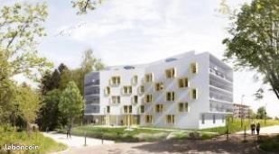 Studio 1 pièce 24 m² — 4