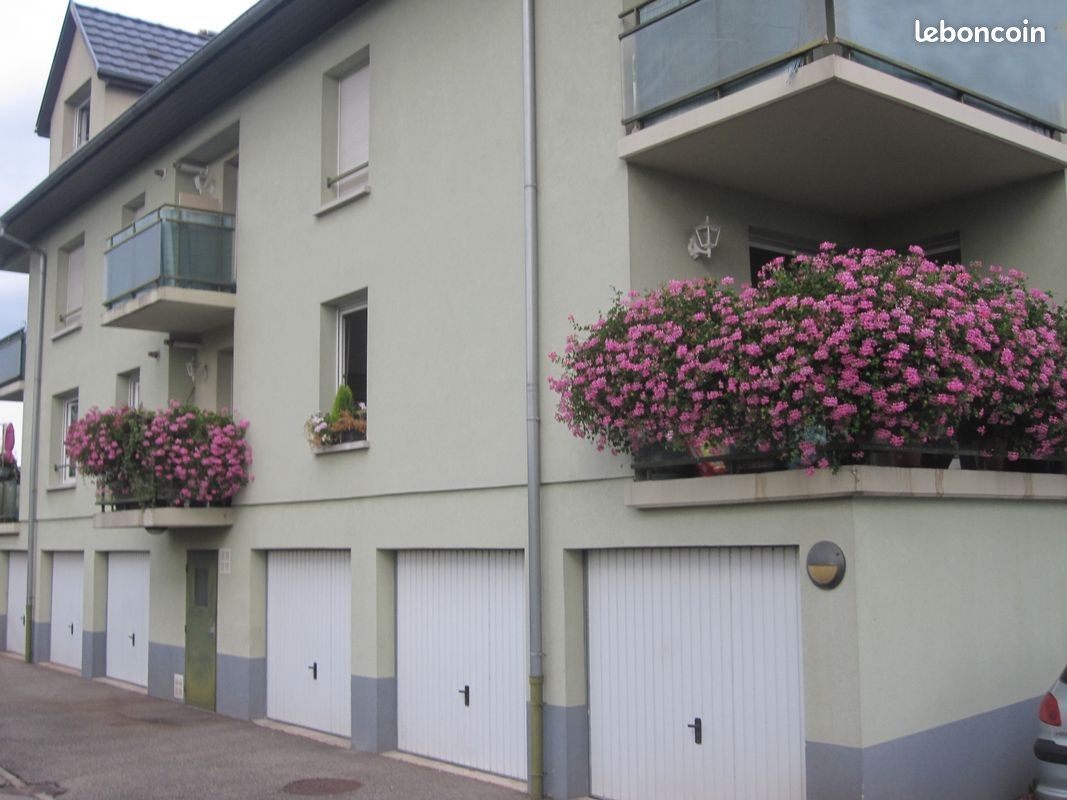 Appartement 3 pièces 50 m² · à Bischwiller · 50 m² · 690 €/mois