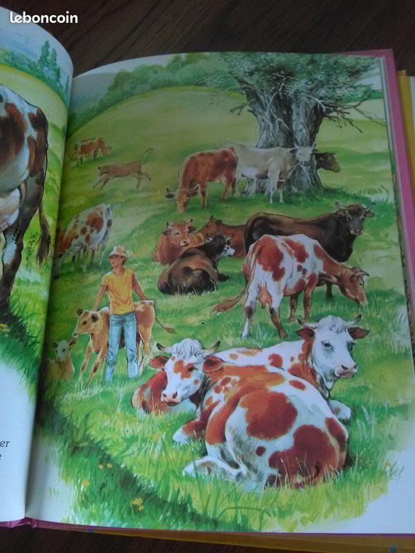 Livres pour enfants j'ai rencontré (image 3)