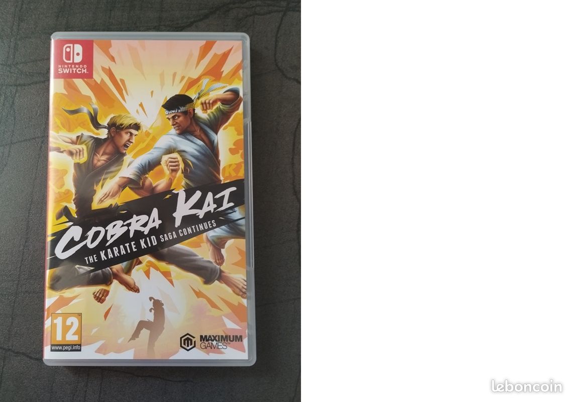 Vds jeu switch COBRA KAI (image 1)
