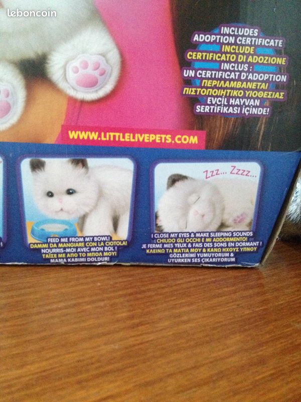 Mon Chat Cuddles Little Live Pets Little Pet Live Chat Intéractif