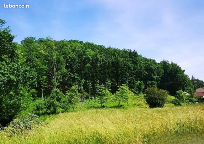 Terrain 2 028 m² Graulhet