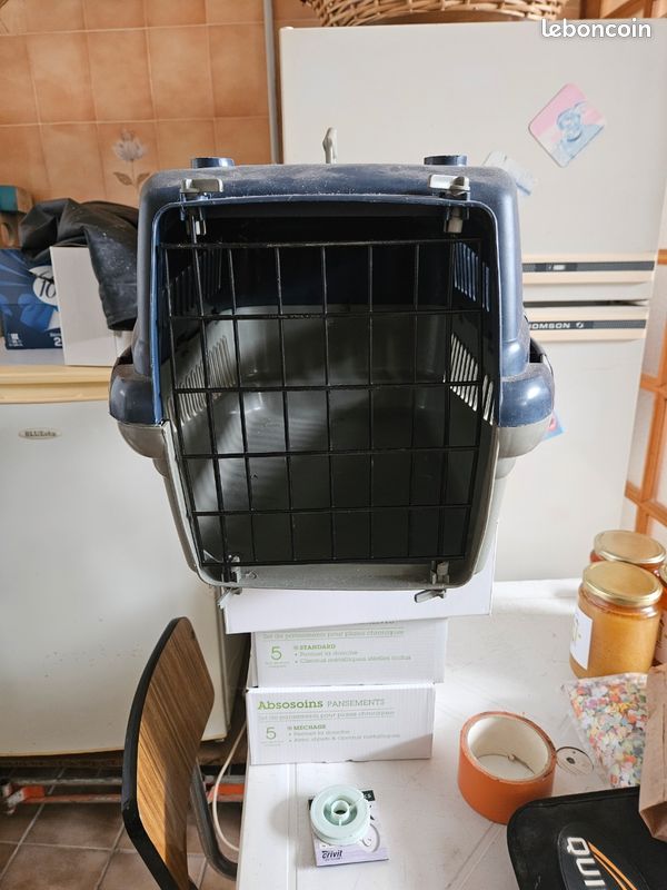 Caisse de transport pour chat Accessoires animaux