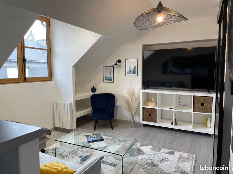 Magnifique appartement au pied du Château (image 3)