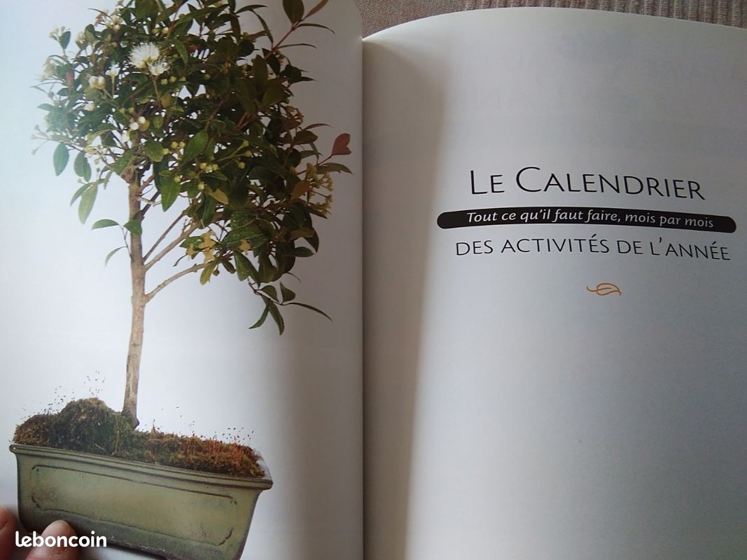 Livre Bonsaï faciles (image 4)