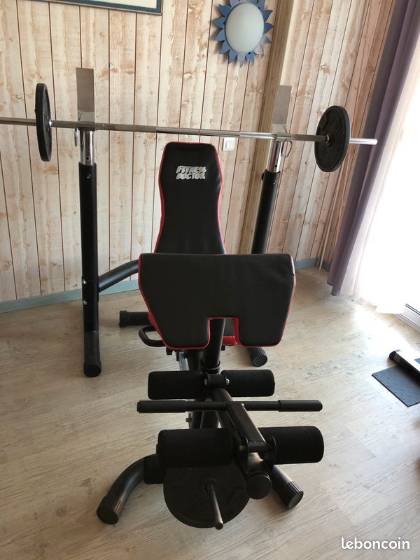 University Usf Olympic Bench University Of Florida Gators Bench