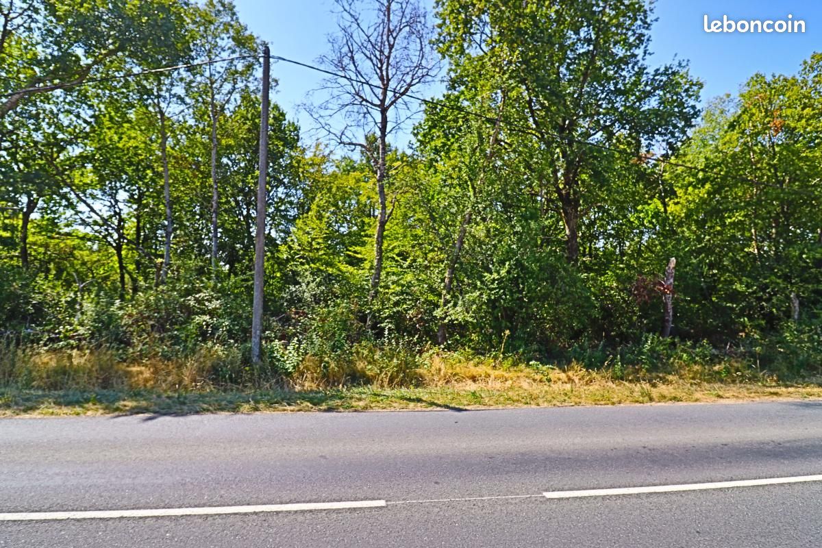 Terrain 1 500 m² Tracy Sur Loire (image 4)