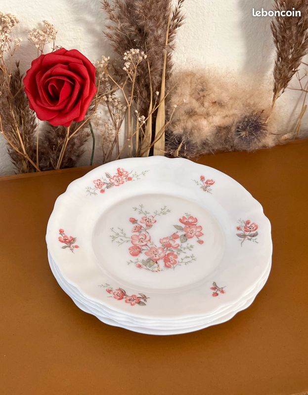 Lot2 De 5 Petites Assiettes Arcopal Vintage France D 19,5 Cm Décor