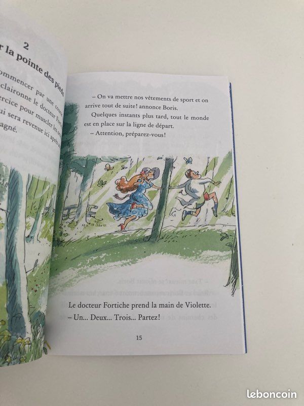 Livre Brice et Boris (image 3)