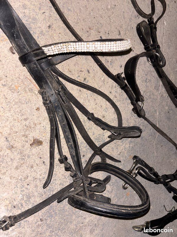 Lot De 5 Têtières (browbands) Pour Cheval, Tailles Assorties, Noir, Neuves