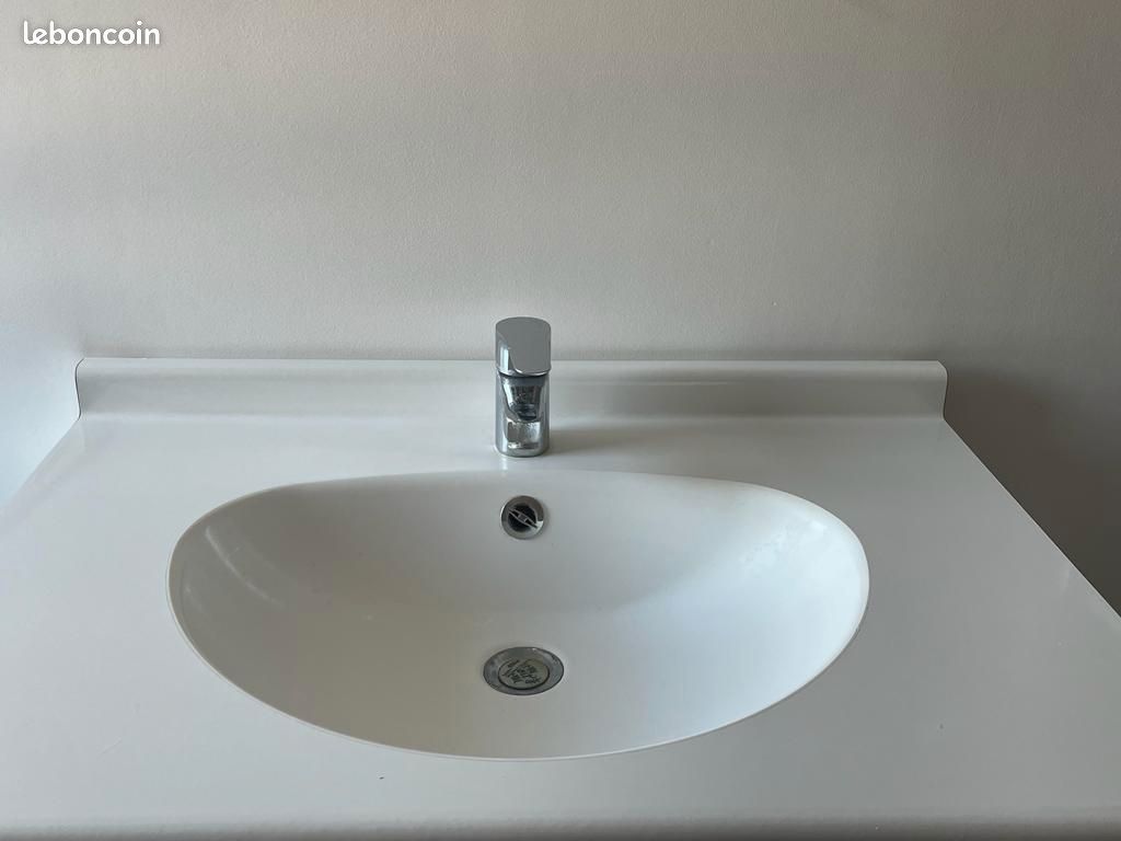 Meuble salle de bain jacob delafon (image 4)