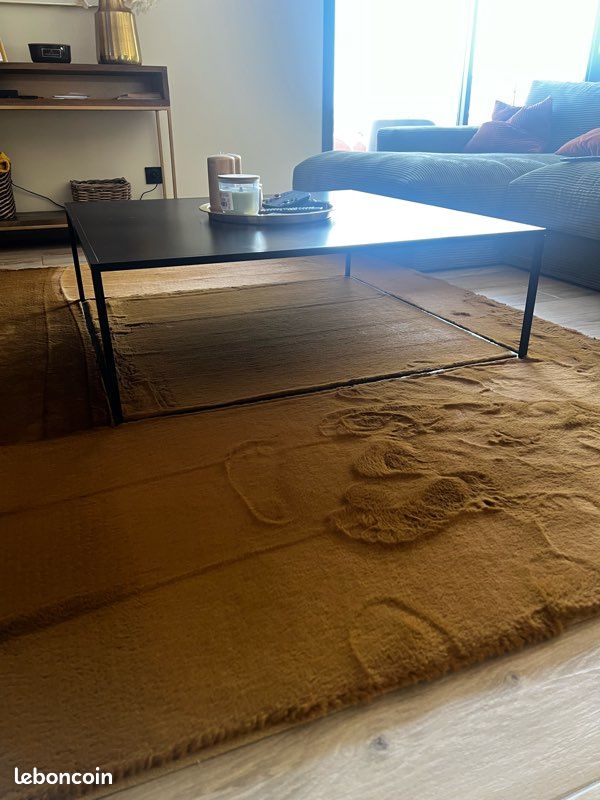 Table basse (image 3)