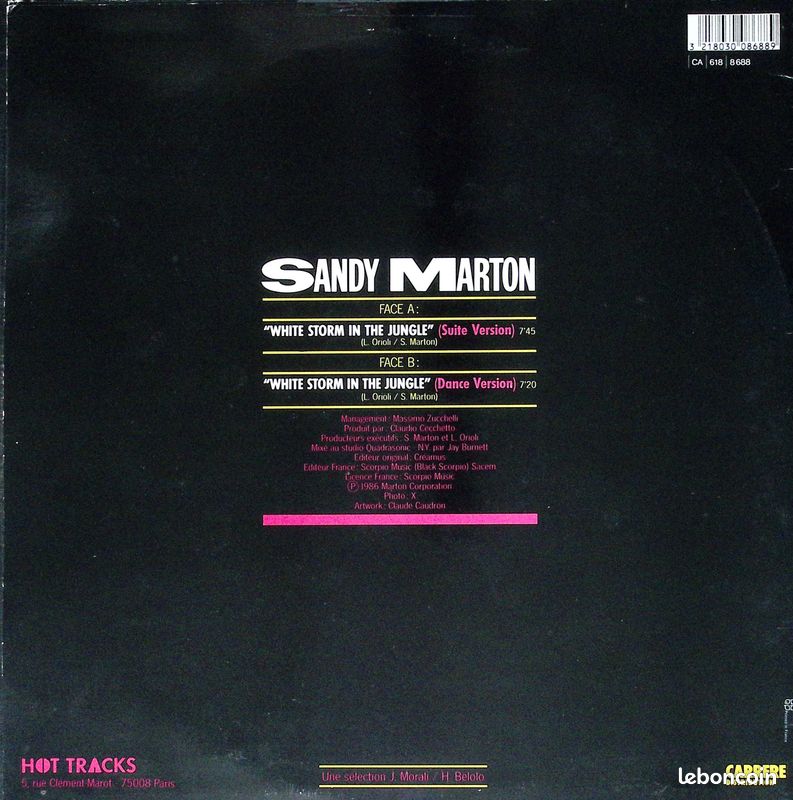 Sandy Marton - white storm in the jungle - italo disco - 1986 - Maxi 45 (image 2)