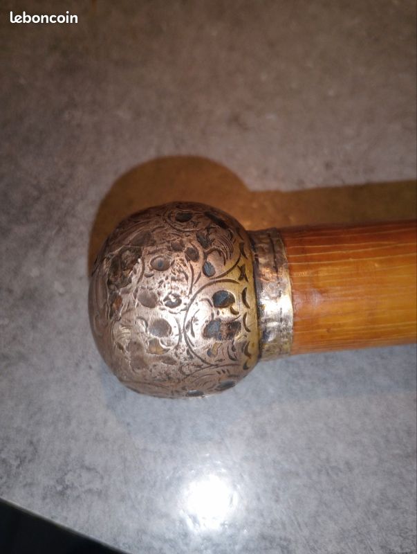 Canne argent (image 4)