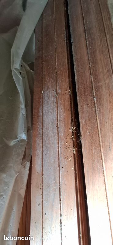 Parquet massif Jatoba Exotique (image 2)
