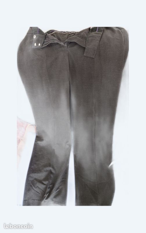 Pantalon à pince (image 1)