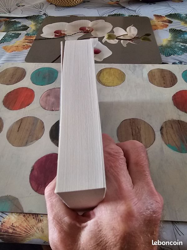 Les illusionnistes de Nora Roberts (image 4)