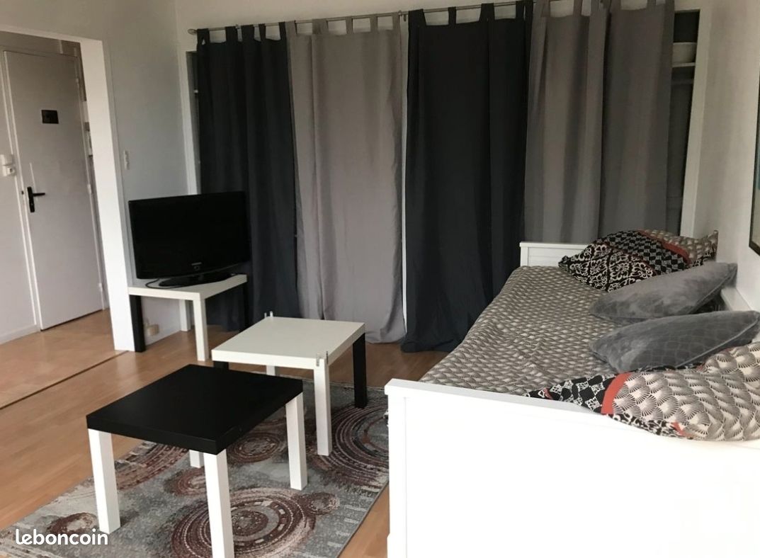 Appartement 30m2 lumineux - Limoges 87000 Vanteaux-CHU-Mas Bouyol-Puy Rodas (image principale 2)