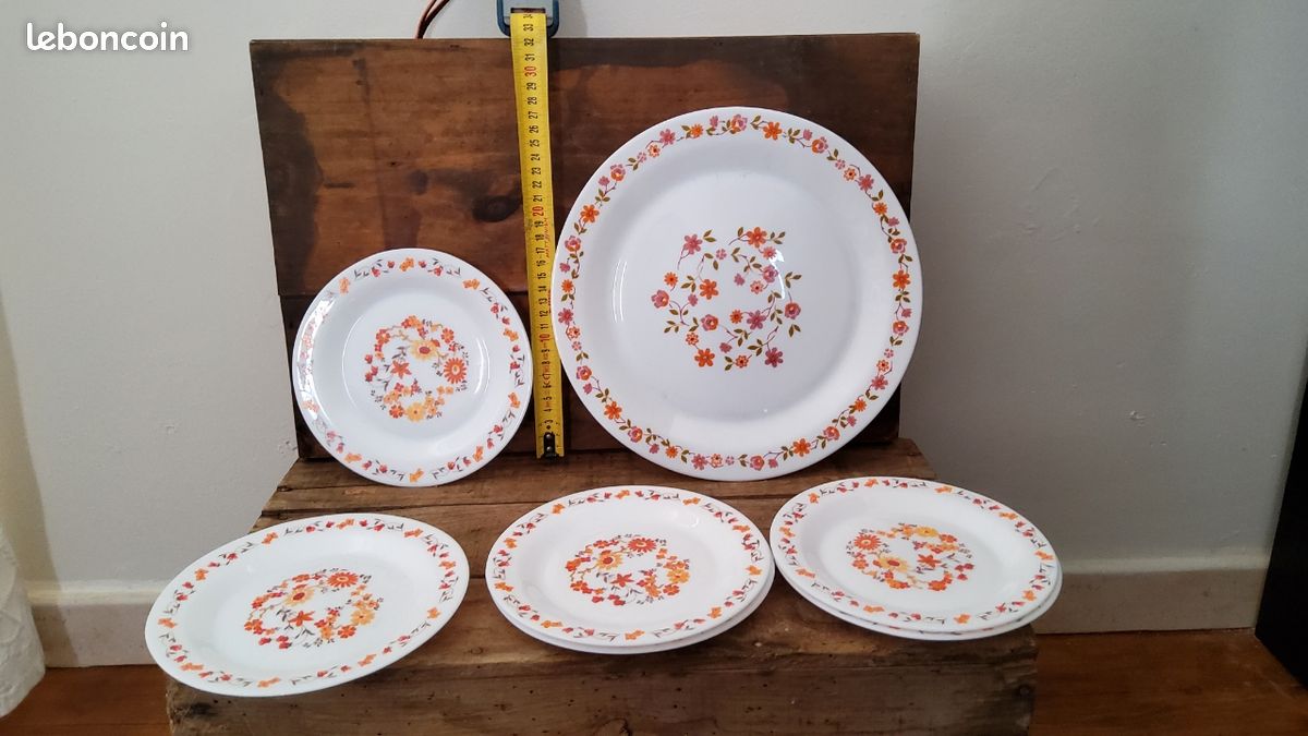 6 ASSIETTES CREUSES Arcopal décor LOTUS EUR 36,00 - FR