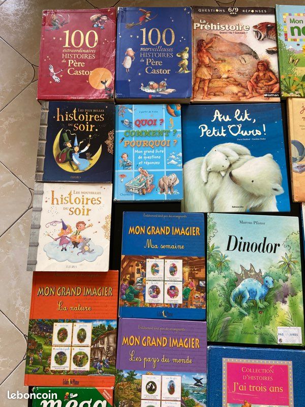 Livres enfant jeunesse (image 3)