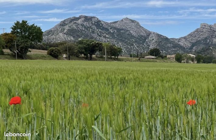 Terrain 350 m² Senas