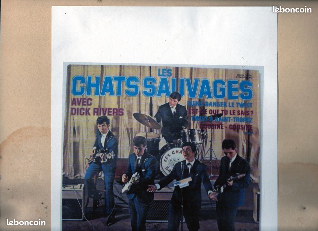 LES CHATS SAUVAGES ,vinyles 33 tours (image 4)