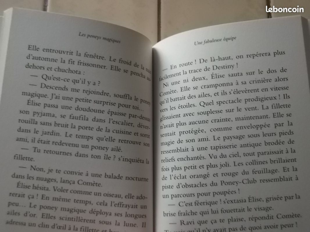 Les poneys magiques une fabuleuse équipe tome 13 (image 6)
