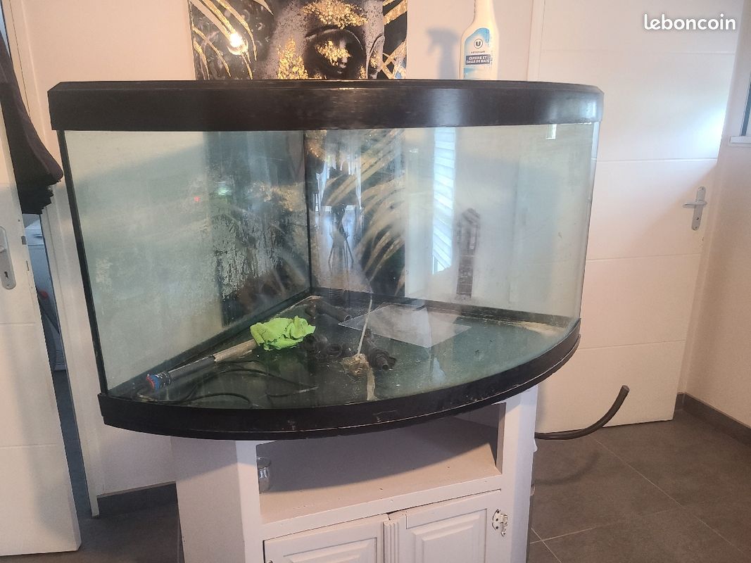 Aquarium Trigon 350l (image 4)