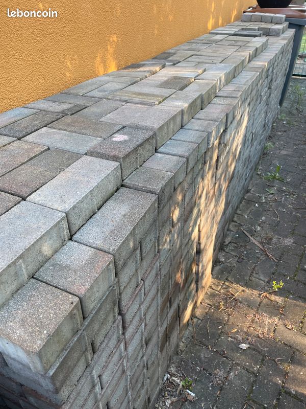 Pavés 20 X 10 X 6 (image 1)